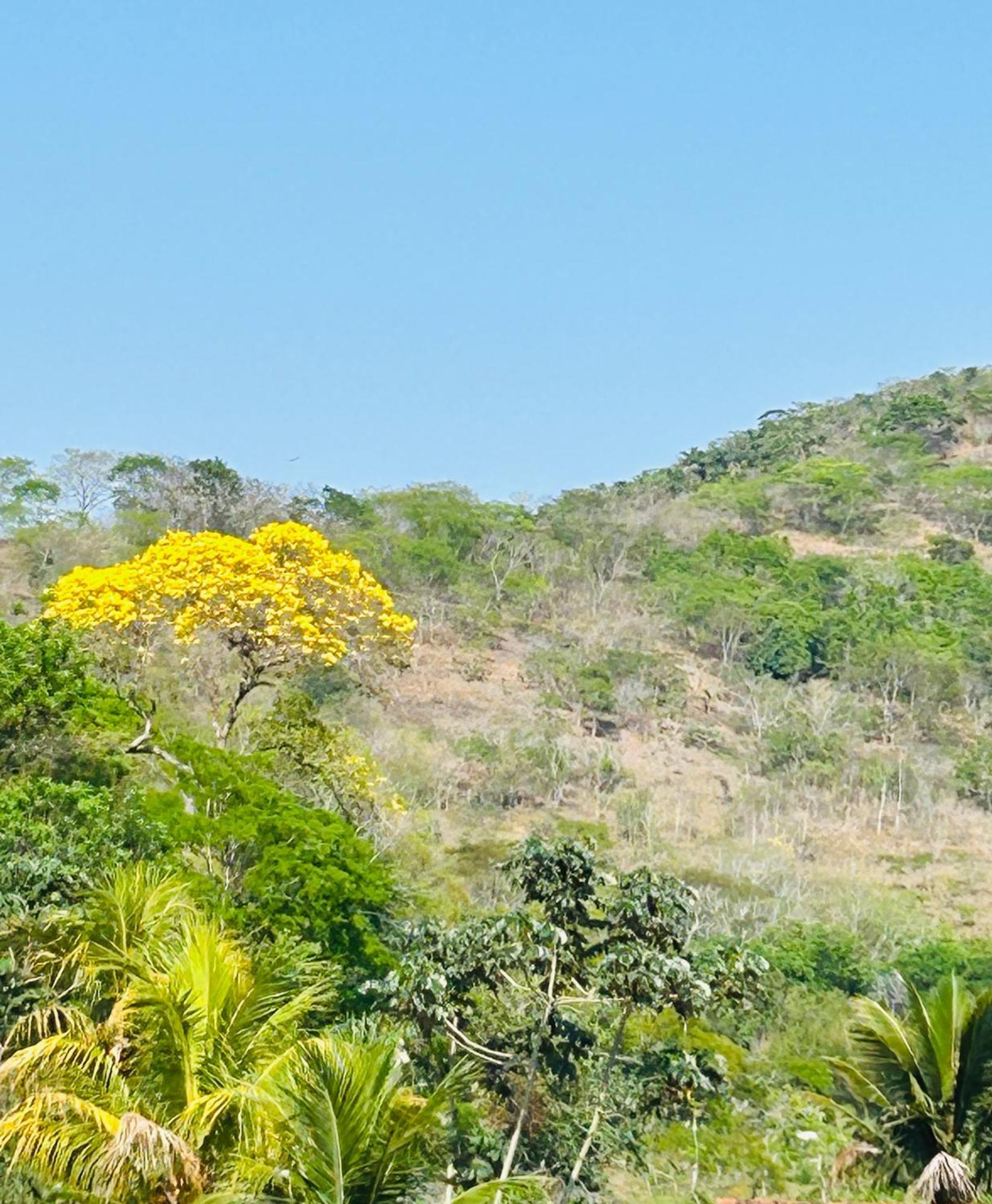 Pousada Casa Do Jova Em Raposo Rj Exteriör bild